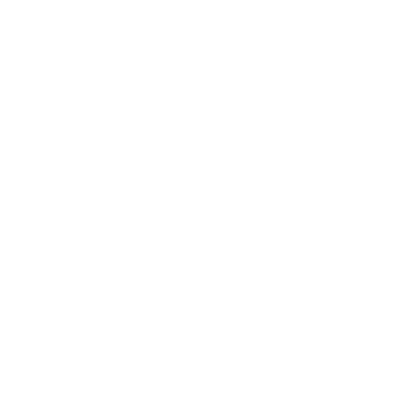 DELI_logo_loon_wit.png